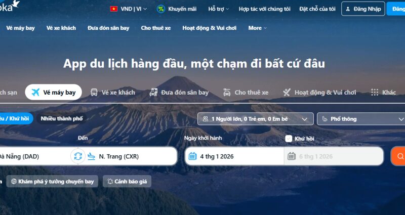 Bay Từ Việt Nam Sang New Zealand Mất Bao Lâu? Hướng Dẫn Chi Tiết